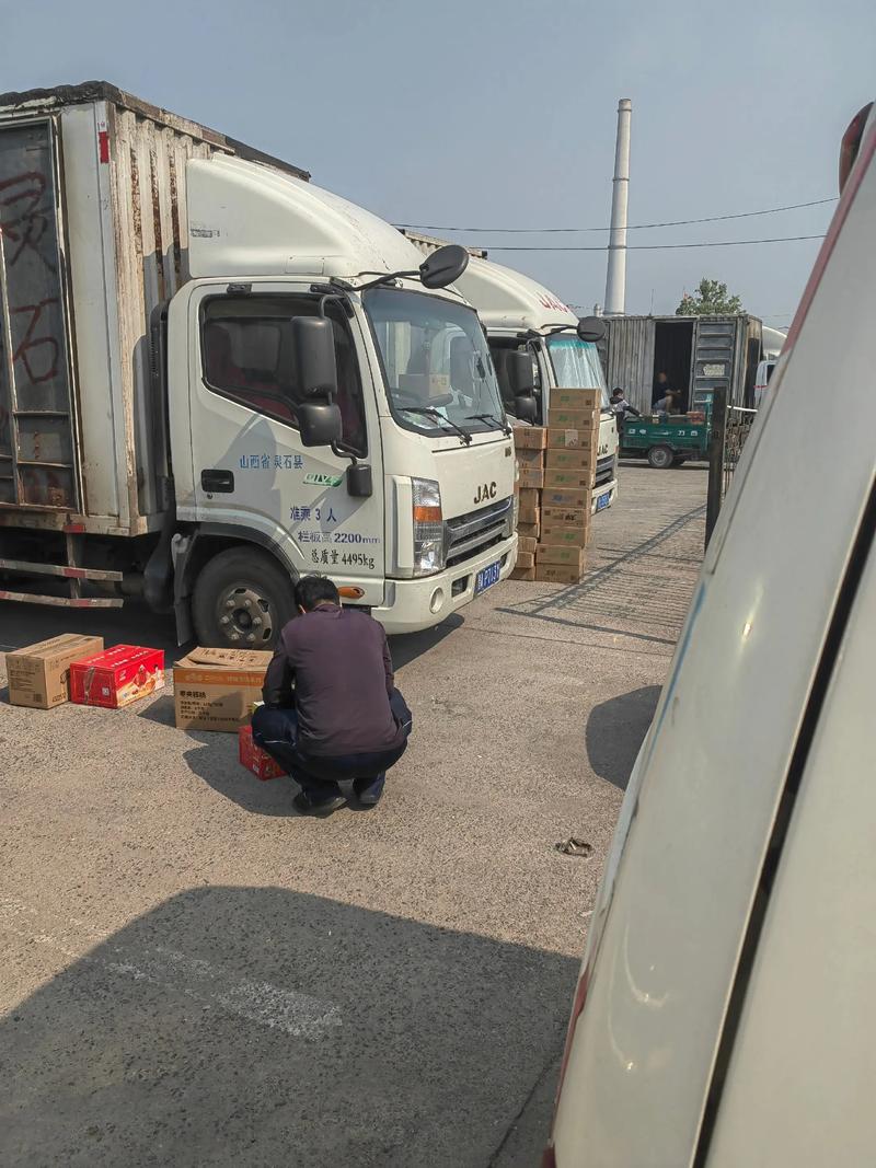 外贸市场风云：柯嘉优选商贸如何引领潮流