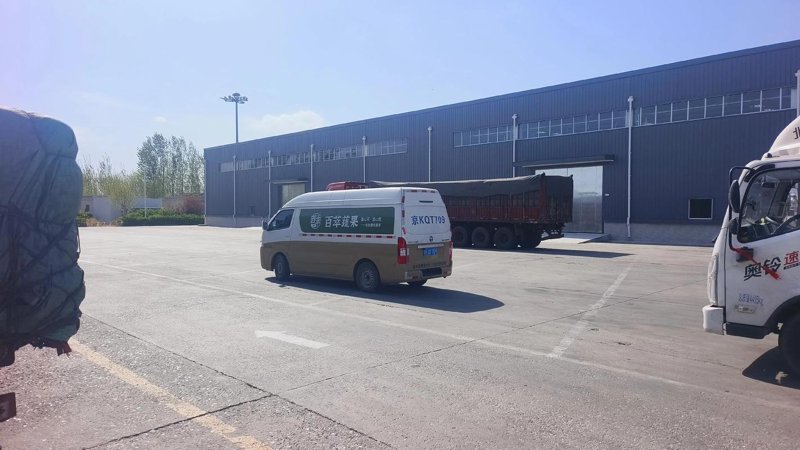 进口商品零售行业新动态：全球购物触手可及